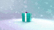 Secretsanta Bouncing GIF by Retail Trust