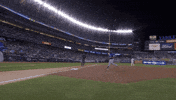 New York Baseball GIF by Toronto Blue Jays