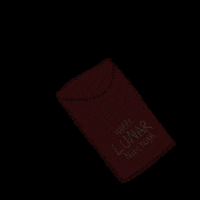 Sad Chinese New Year GIF