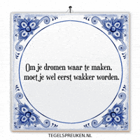 Humor Succes GIF by Tegelspreuken.nl