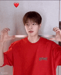 Singer Skz GIF