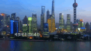 shang hai GIF