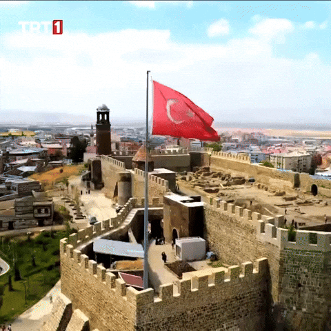 Flag Drone GIF by TRT
