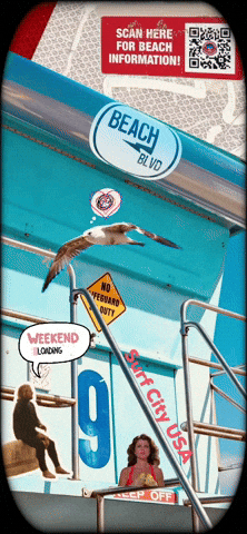 Pacific Coast Highway Summer GIF