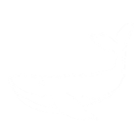Ocean Whale Sticker by Visit Sunshine Coast