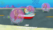season 10 episode 6 GIF by SpongeBob SquarePants