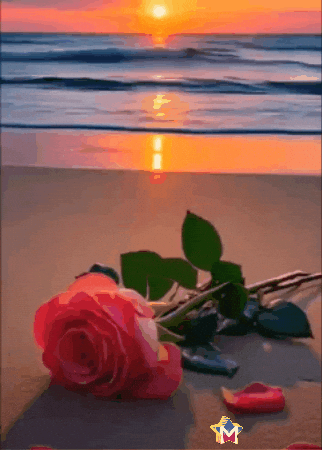 Para Ti Amigos GIF by Murcianys LLC