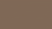 rewiredotorg animation pets quote pbs GIF