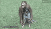 Dog Hug GIF