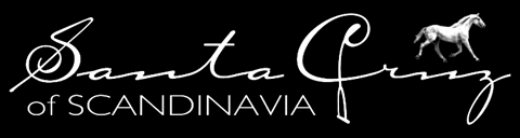 Santacruz GIF by santacruzofscandinavia