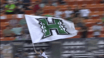 College Football GIF by Hawaii Athletics