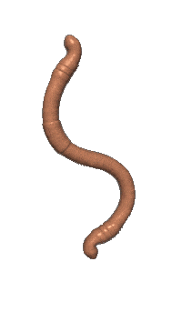 worm Sticker