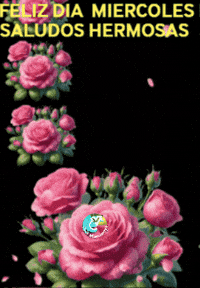 Amigos Familia GIF by Murcianys LLC