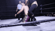 SHWAWrestling aaa submission lucha libre cmll GIF