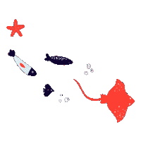 Rajababyplavanie Sticker by Raja – škola športu