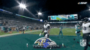 National Football League GIF by NFL