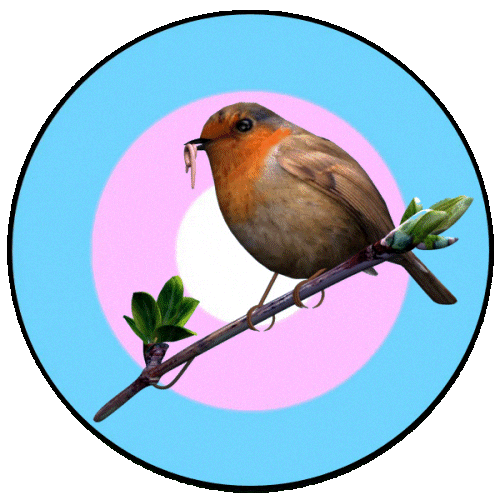 Lgbt Trans Sticker