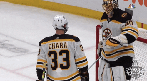 ice hockey good job GIF by NHL