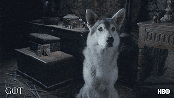 Dog Hbo GIF by Game of Thrones