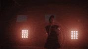 dollyave music musician dolly dolly parton GIF