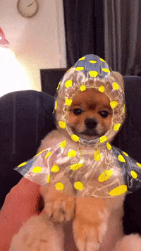 Coda Raincoat GIF