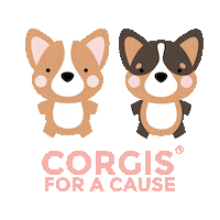 corgisforacause corgis cfac corgis for a cause corgisforacause Sticker