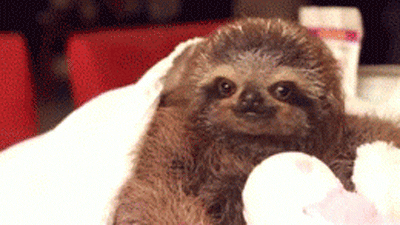 inspirational GIF