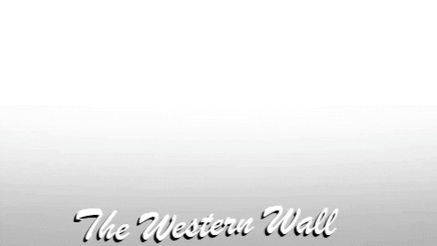 TheKotel giphygifmaker western wall הכותל הכותל המערבי GIF