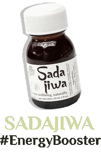 One Shot Ginger Sticker by Rahsa Nusantara