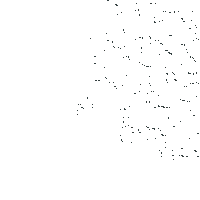 Dejandohuella Sticker by Grupo Bronco