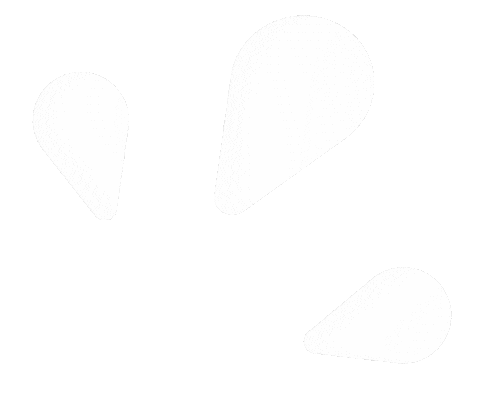 Drop Sticker