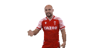 Come On Wales Sticker by World Rugby