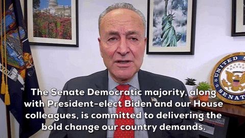 Chuck Schumer GIF by GIPHY News
