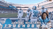 Detroit Lions Football GIF by NFL