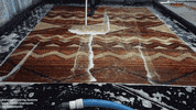 hasansrugs cleaning carpet rug GIF