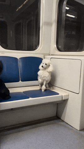 e-Kazan giphyupload GIF