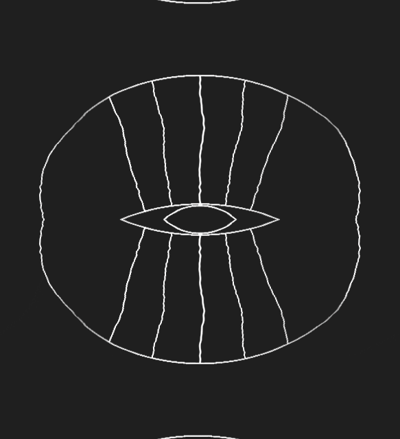 IllusionMiracle giphyupload illusionmiracle immiracle GIF
