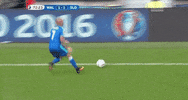 GIF by Sporza