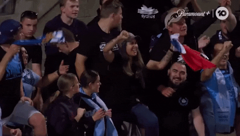 TheLadiesLeague womens football woso sydney fc wleague GIF