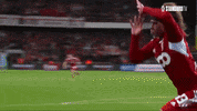 Victory Coyr GIF by Standard de Liège