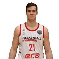 Home Alone Bcl Sticker by Basketball Nymburk