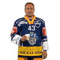Ice Hockey Zug Sticker by EVZ