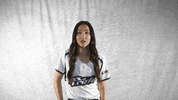 Softball Fastpitch GIF by USSSA Pride