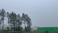 Wind-Driven Rain Lashes Hampton, South Carolina