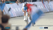 GIF by International Paralympic Committee