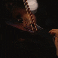 GIF by CineConcerts
