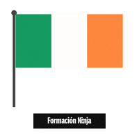 Ireland Flag Sticker by Formación Ninja