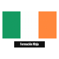 Ireland Flag Sticker by Formación Ninja