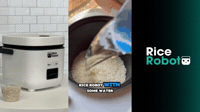 Salmon Teriyaki, One Button | Rice Robot