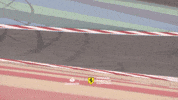 Happy Racing GIF by Formula Santander